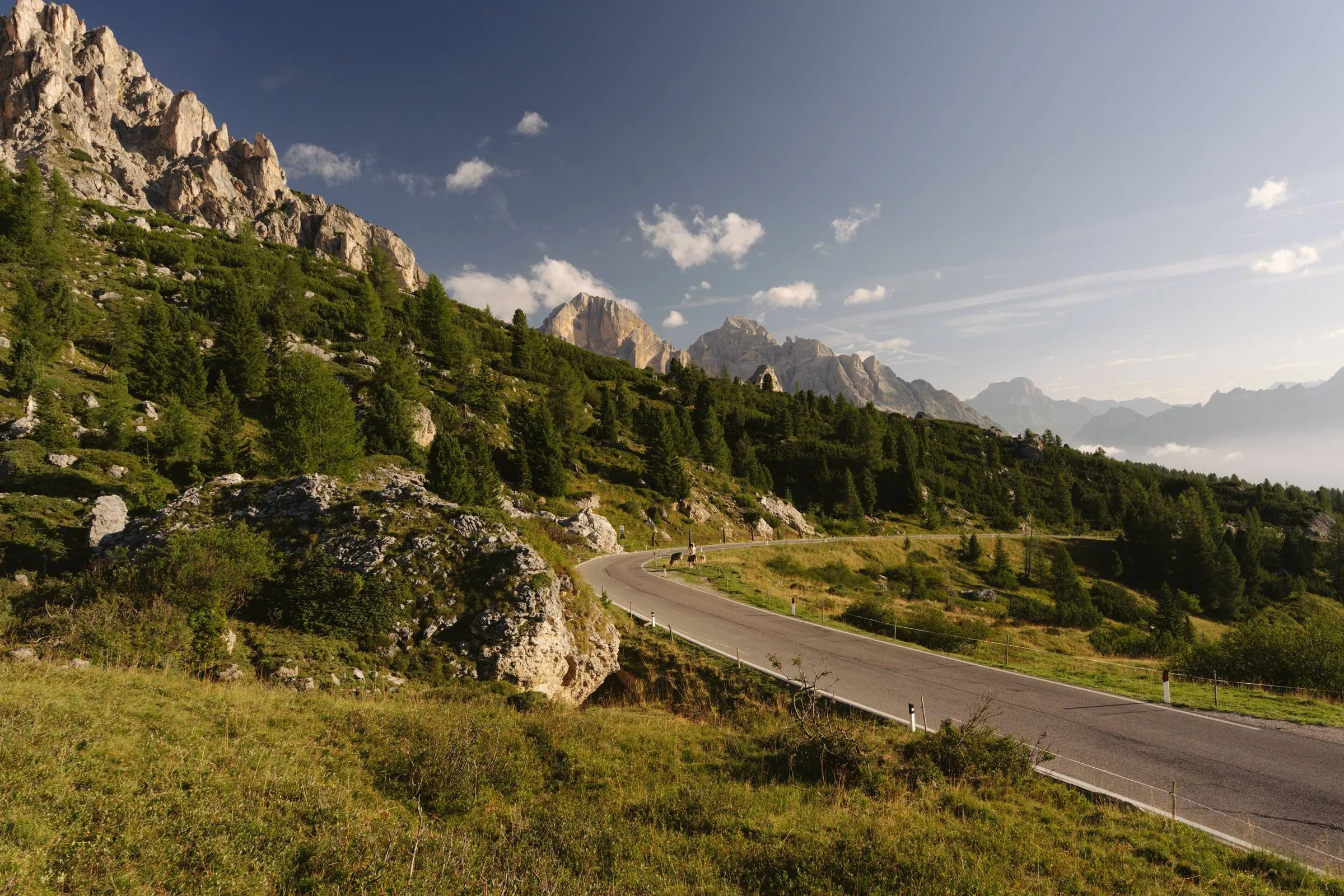 A mountain road curving below pale limestone peaks and larch forest in the Dolomites